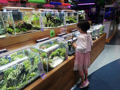 -龟与熊猫宠物公园(南坪店)