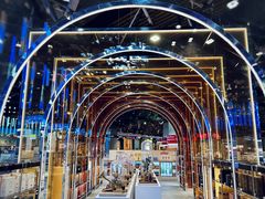 -谢列梅捷沃国际机场