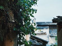 -黟县屏山村