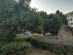 -武汉大学-桂园餐厅
