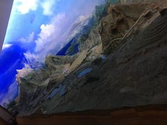 -大连自然博物馆·地球展厅