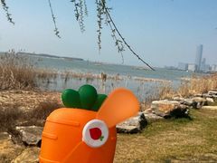 -苏州湾体育公园