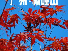 -广州市帽峰山景区