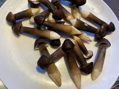 -千岛蚝高压锅生蚝·人参火锅(白云万达店)