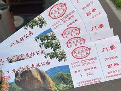-吉林市朱雀山国家森林公园