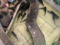 -春盛渔府(牛首山店)