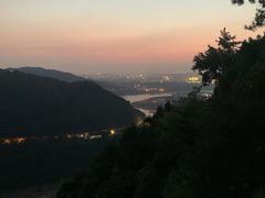 -铁山坪森林公园