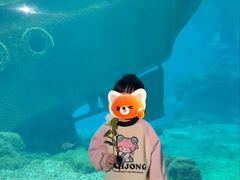 -福州罗源湾海洋世界旅游区
