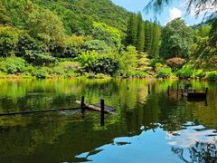 -深圳仙湖植物园