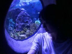 -成都浩海立方海洋公园