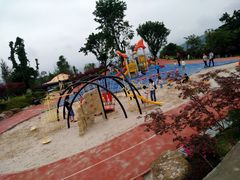 -铁山坪森林公园