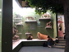 -国家自然博物馆