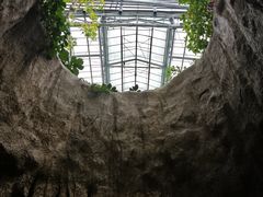 -南山植物园