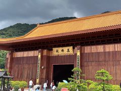 -深圳仙湖植物园