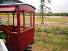 -兰陵国家农业公园