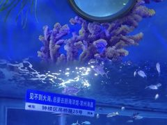 -常州海昌海洋探索馆