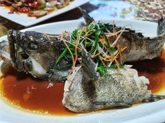 清蒸老虎石斑鱼-范饭椰林川湘味海鲜·椰子鸡(三亚湾椰梦长廊店)