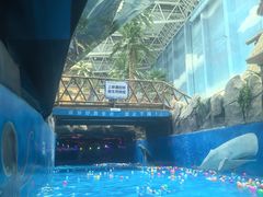 -青岛东方影都融创水世界