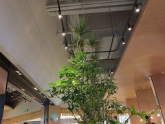 -gaga(深圳福田星河COCO Park店)