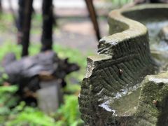 -乐领拈花溪·林涧食韵