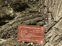 -普陀宗乘之庙(小布达拉宫)