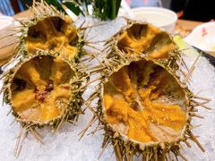 海胆-温度铁板烧(前进大街店)