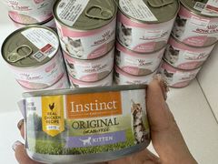 -青奢宠物·青奢猫舍