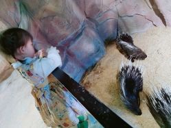 -酷嗒动物文化乐园(cutezoo西溪乐天城店)