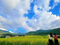 -初溪土楼群