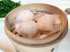 原只鲜虾饺-利苑酒家(金宝店)