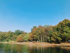 -紫霞湖公园