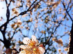 -白塘生态植物园