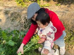 -竹语饭香·原生态农庄·烧鸡·竹筒饭·河鲜(森林海白水寨店)