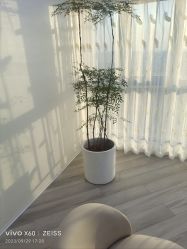-HEYAN荷妍专业脱毛连锁机构