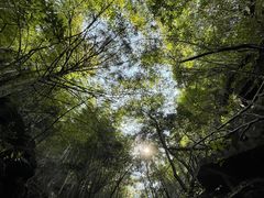 -藏龙百瀑风景区