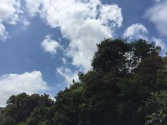 -将军关探险漂流