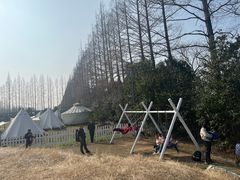 -前小桔亲子创意农场·草莓采摘·露营烧烤