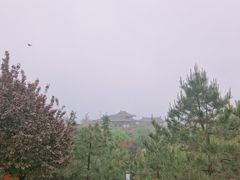 -西安青龙寺遗址景区
