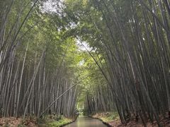 -同里国家湿地公园