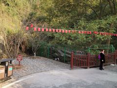 -大围山国家森林公园