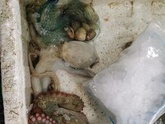 -霞涌市场海鲜摆卖区