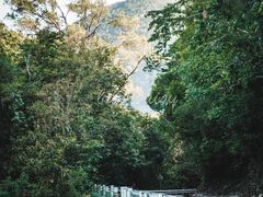 -海南霸王岭国家森林公园