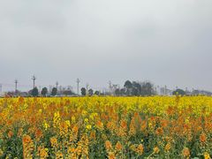 -中国天府农业博览园