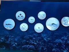 -上海中国航海博物馆