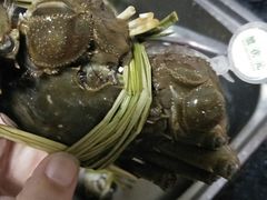 -蟹状元大闸蟹·年货·粽子(成都成华店)
