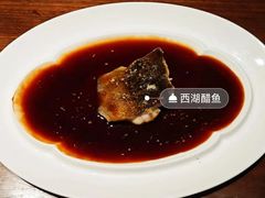 -觀芷隐轩
