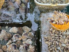 -聚鲜阁海鲜美食城(香水湾店)