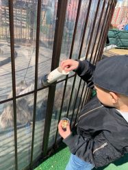 -萌宠亲子动物乐园(槐房万达店)