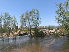 -永定河休闲森林公园