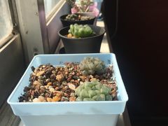-魔方剧情密室(徐汇店)